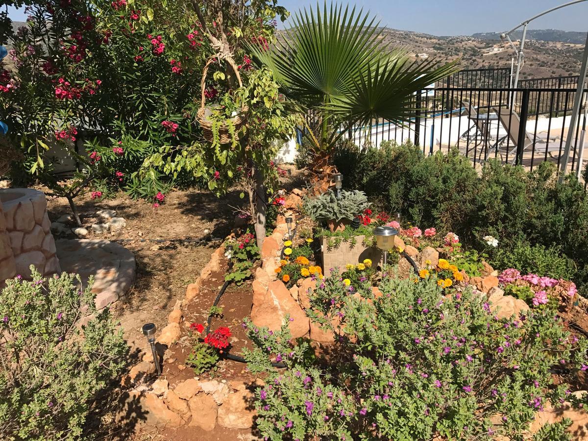 Appartement Peyia Pearl Extérieur photo